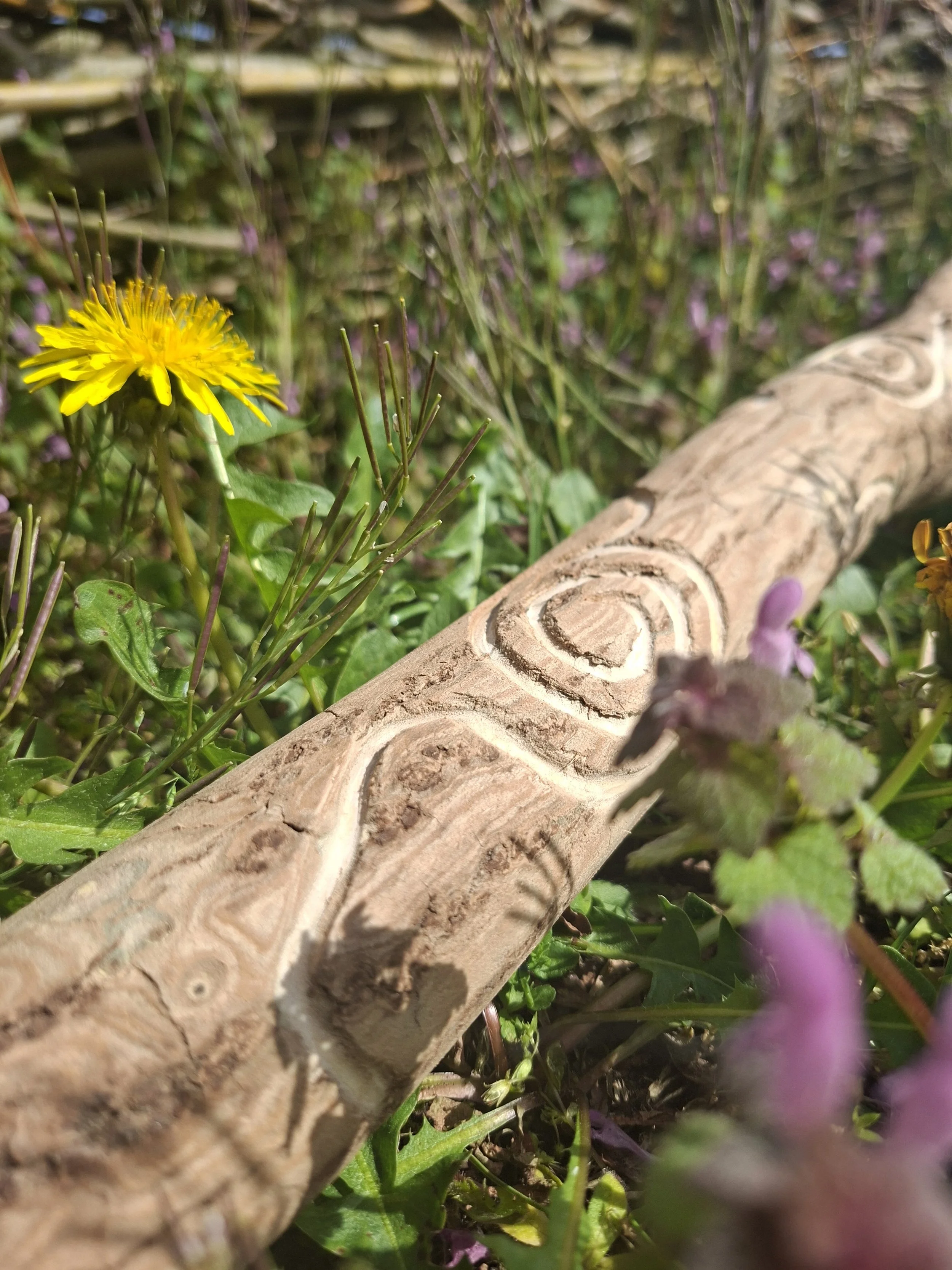 talking stick.jpg