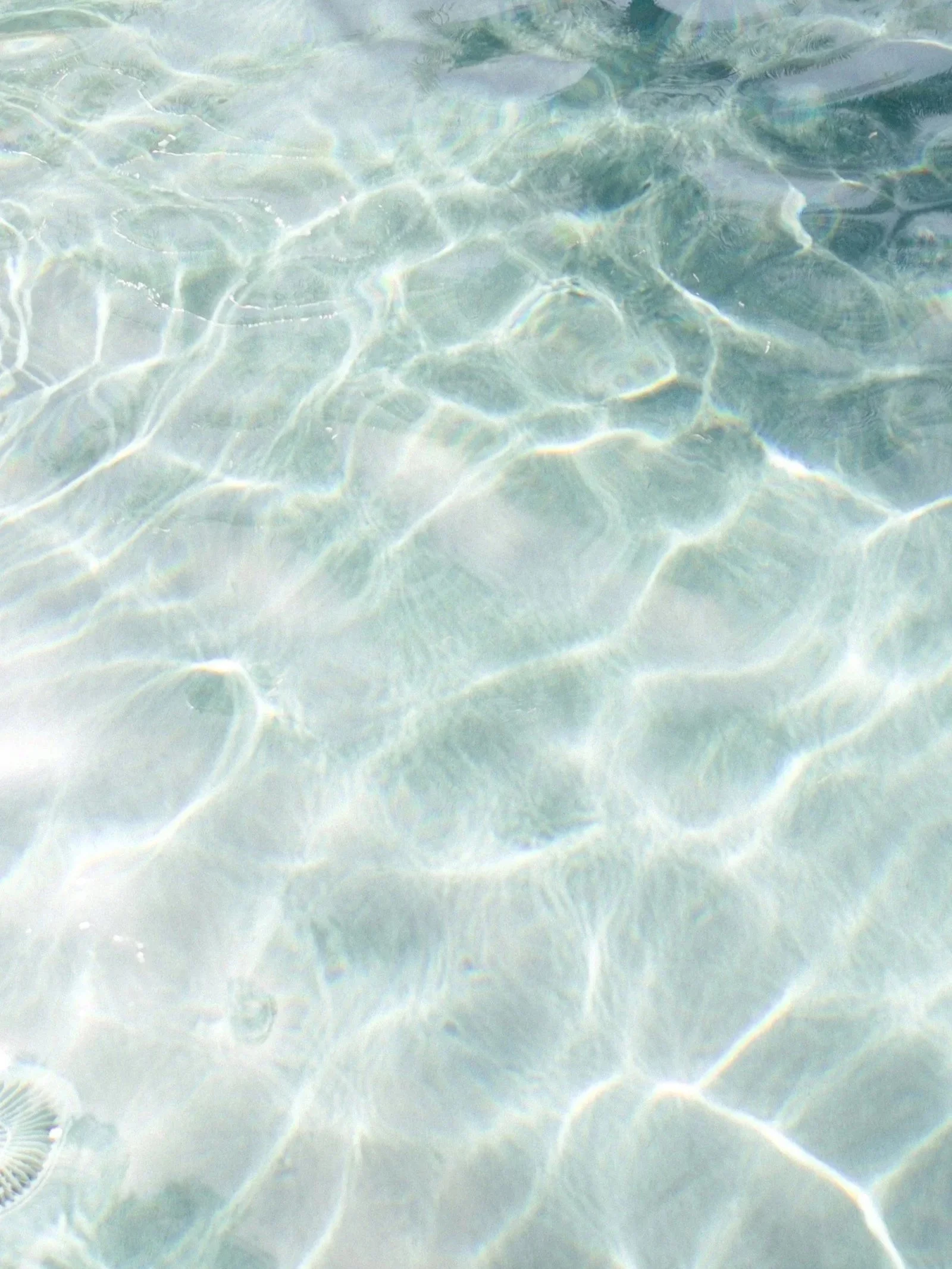 Klares Wasser mit Lichtreflexen und Wellenmustern an der Wasseroberfläche.
