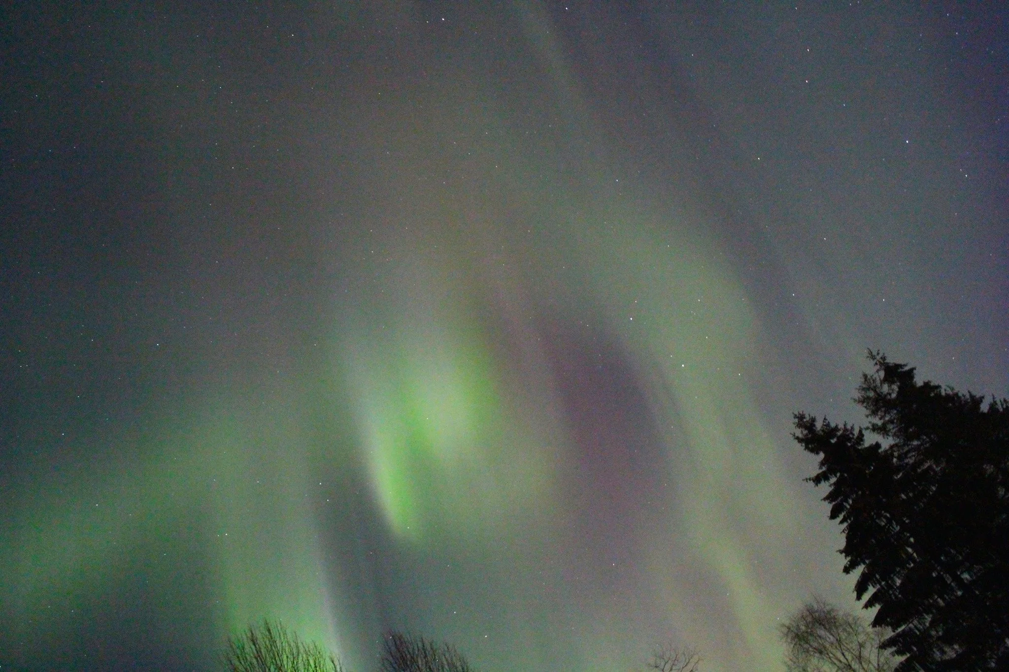  The northern lights brighten up the Southern Tier night sky | WSKG-NPR