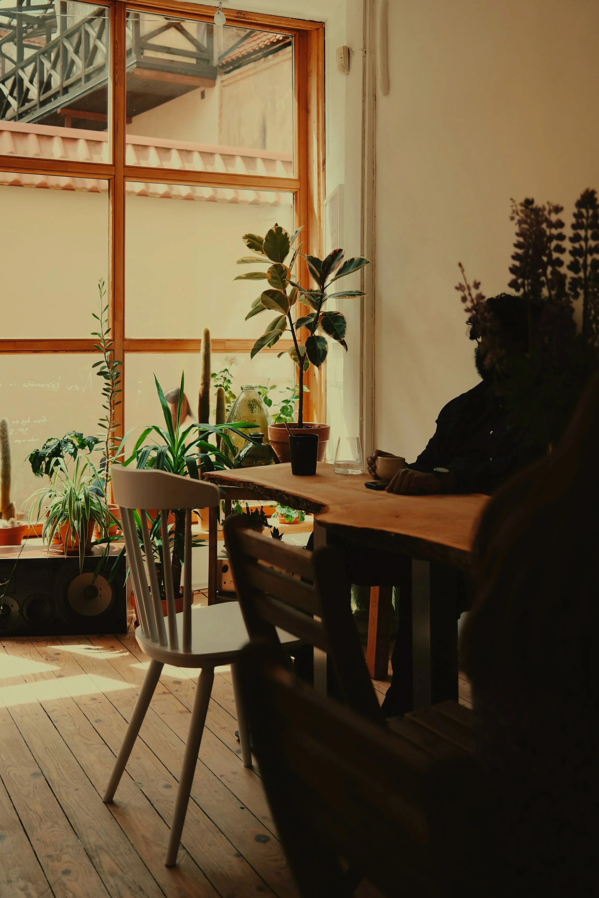 A bright coffee shop filled with sunlight and greenery, with a person’s arm holding a cup.