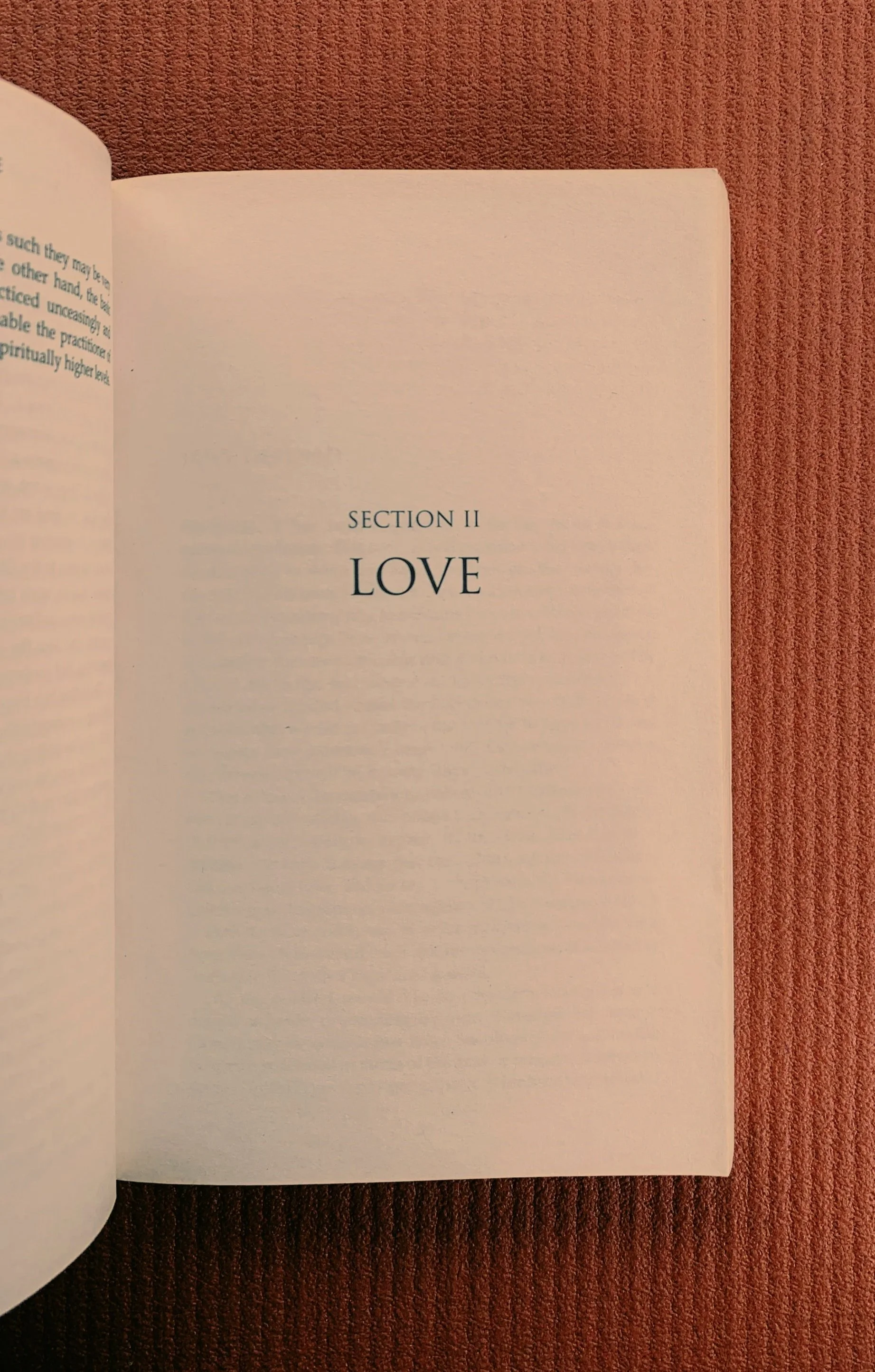 The word love displayed on a book page.