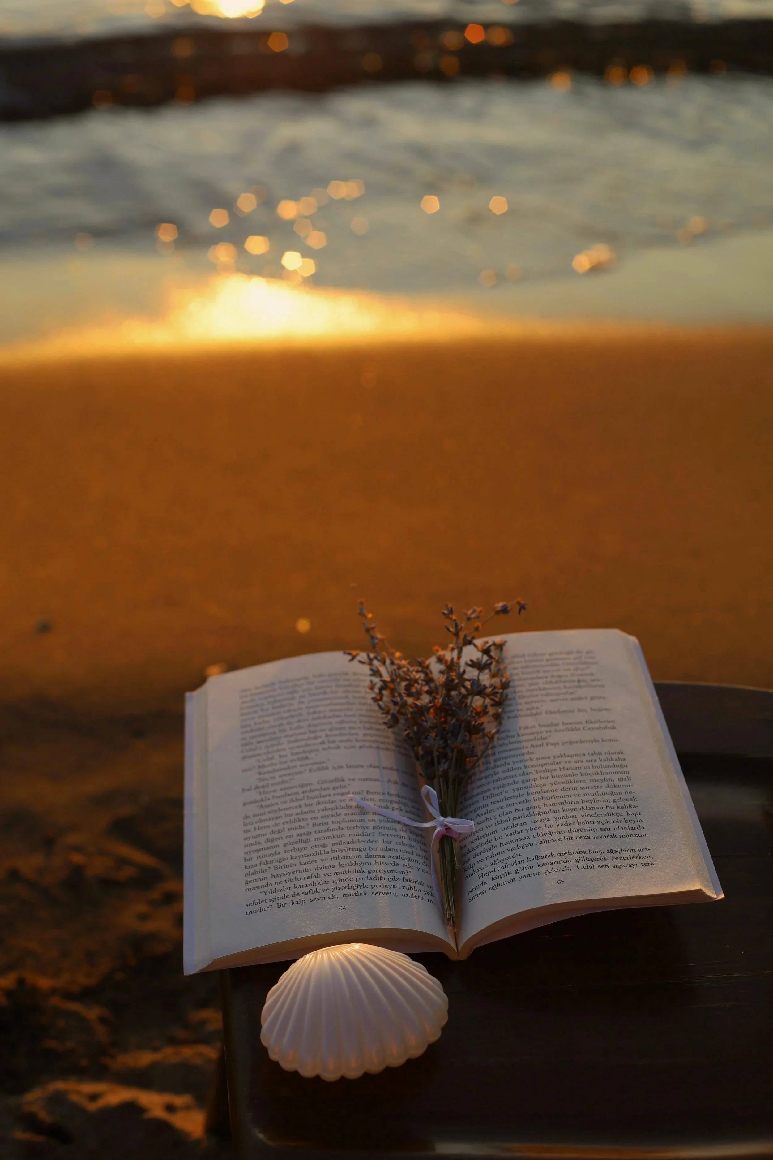 A book resting on sand at the beach during sunset, next to a shell and a flower.