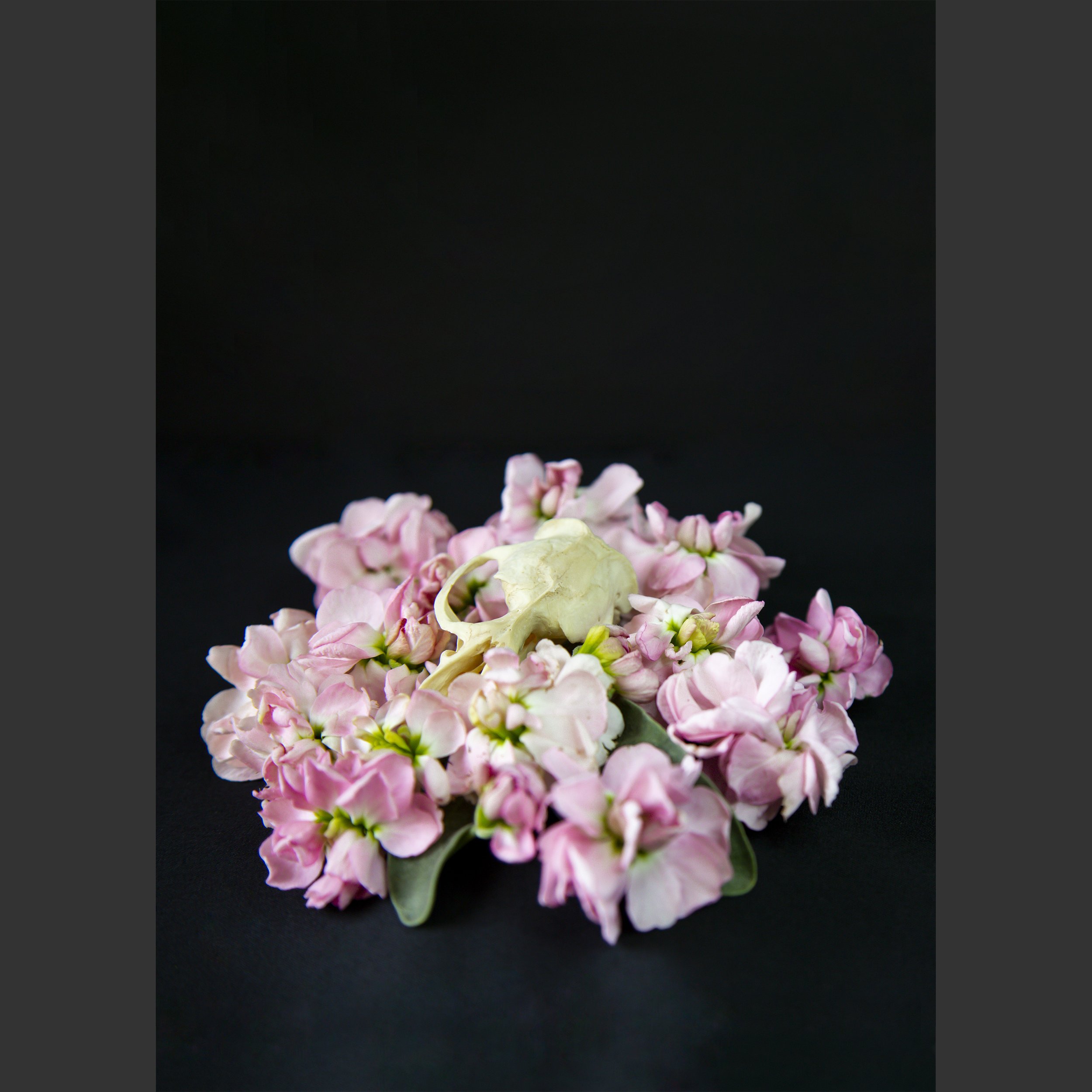 SkullsAndFlowers4-0231_Vert.jpg