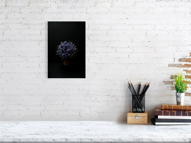 Fine art photograph of Amethyst Blue Sea Holly Flowers Against a Black Background lit and shadowed home decor for sale.