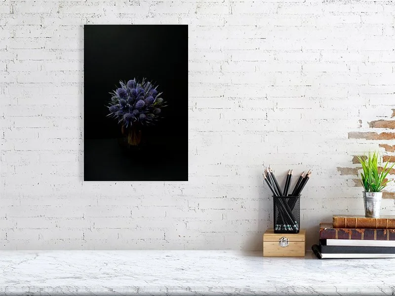 Fine art photograph of Amethyst Blue Sea Holly Flowers Against a Black Background lit and shadowed home decor for sale.