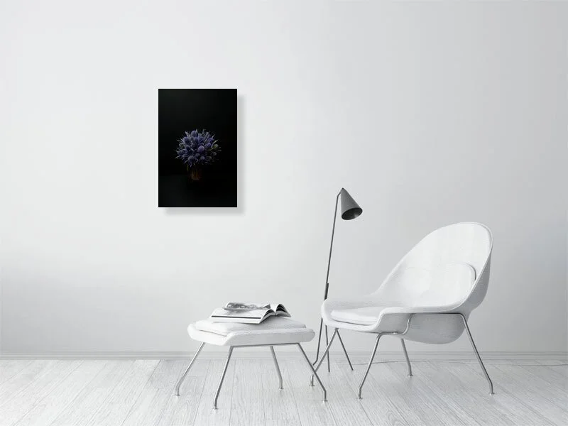 Fine art photograph of Amethyst Blue Sea Holly Flowers Against a Black Background lit and shadowed home decor for sale art gifts.