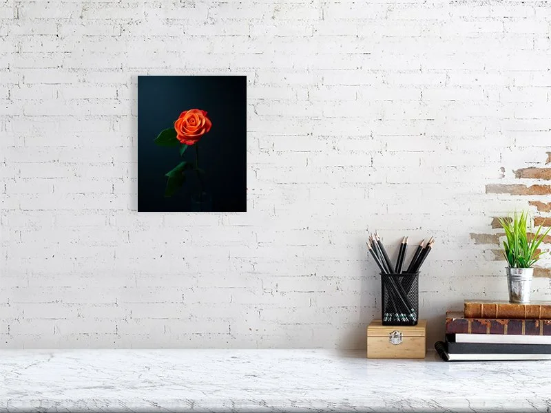Fine art photograph of a single orange rose on a black background. For sale, art prints, home decor, gifts.