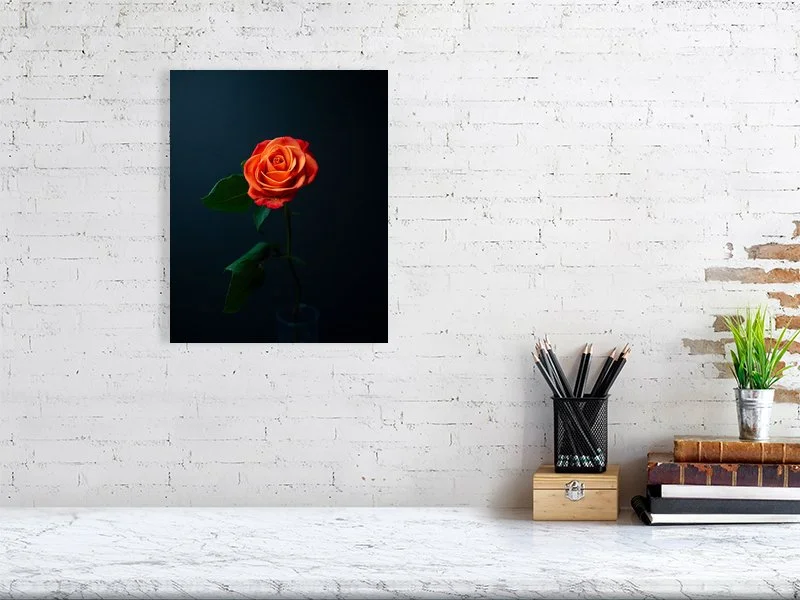 Fine art photograph of a single orange rose on a black background. For sale, art prints, home decor, gifts.