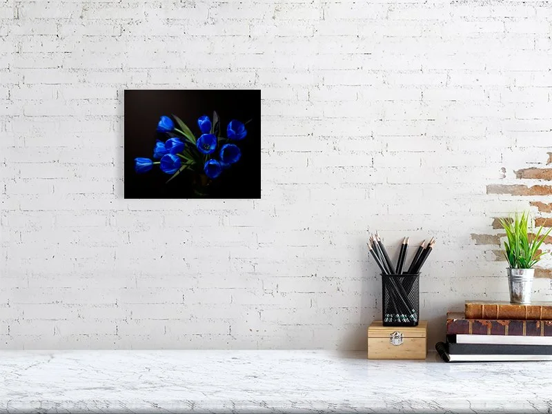 Fine art photograph of a Bouquet of Electric Blue Tulips on Black from Above on black for sale art prints home decor gifts