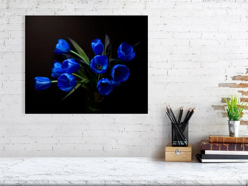 Fine art photograph of a Bouquet of Electric Blue Tulips on Black from Above on black for sale art prints home decor gifts