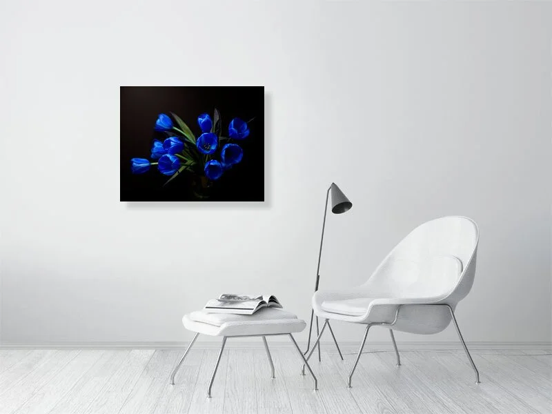 Fine art photograph of a Bouquet of Electric Blue Tulips on Black from Above on black for sale art prints home decor gifts