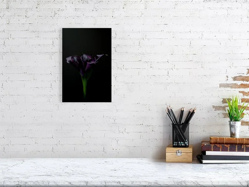 A photograph of a bouquet of Deep Purple Calla Lily Flowers on a Black Background images for sale art prints home decor gifts