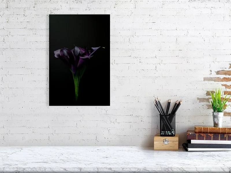 A photograph of a bouquet of Deep Purple Calla Lily Flowers on a Black Background images for sale art prints home decor gifts