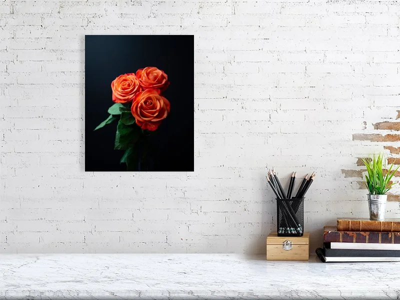 Fine art photograph of a bunch of Orange Roses on a black background in dramatic lighting for sale art prints home decor gifts