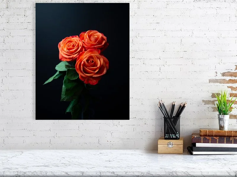 Fine art photograph of a bunch of Orange Roses on a black background in dramatic lighting for sale art prints home decor gifts
