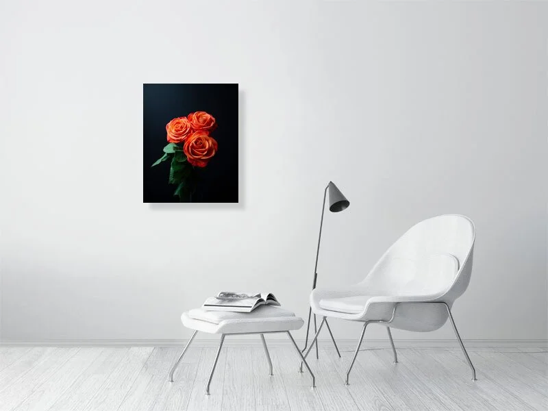 Fine art photograph of a bunch of Orange Roses on a black background in dramatic lighting for sale art prints home decor gifts