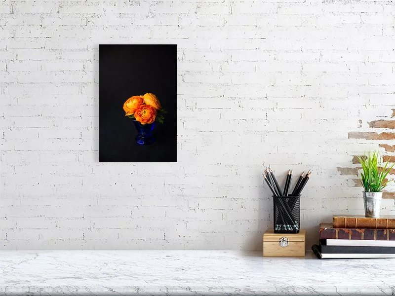 Fine art photo of Persian Buttercup Flowers in Blue Glass Vase on Black Background for sale art prints home decor gifts