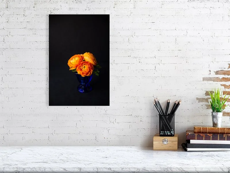 Fine art photo of Persian Buttercup Flowers in Blue Glass Vase on Black Background for sale art prints home decor gifts