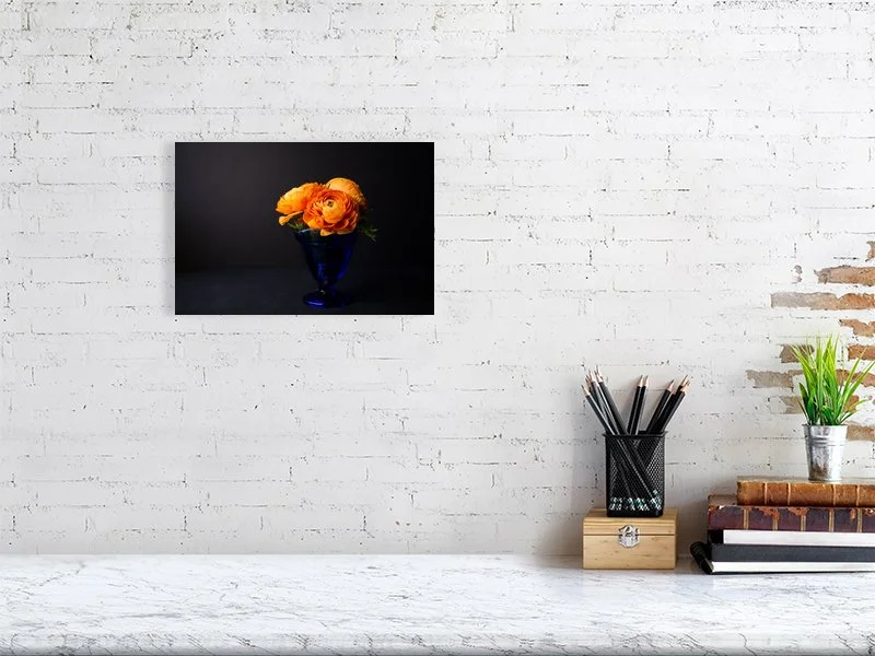 Fine art photo of Persian Buttercup Flowers in Blue Glass Vase on Black Background for sale art prints home decor gifts