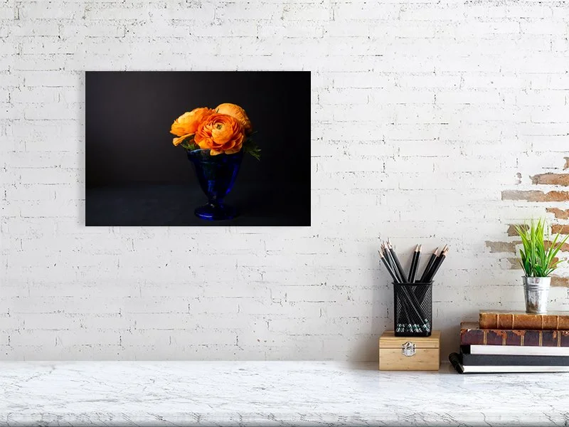 Fine art photo of Persian Buttercup Flowers in Blue Glass Vase on Black Background for sale art prints home decor gifts
