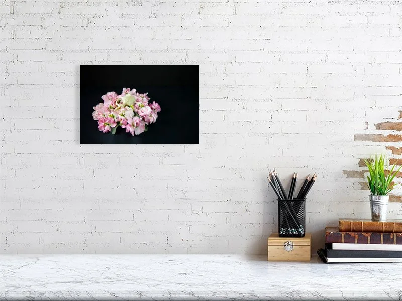 Fine art photo of a Muskrat Skull on a Bed of Pink Delphinium Flowers on black background for sale