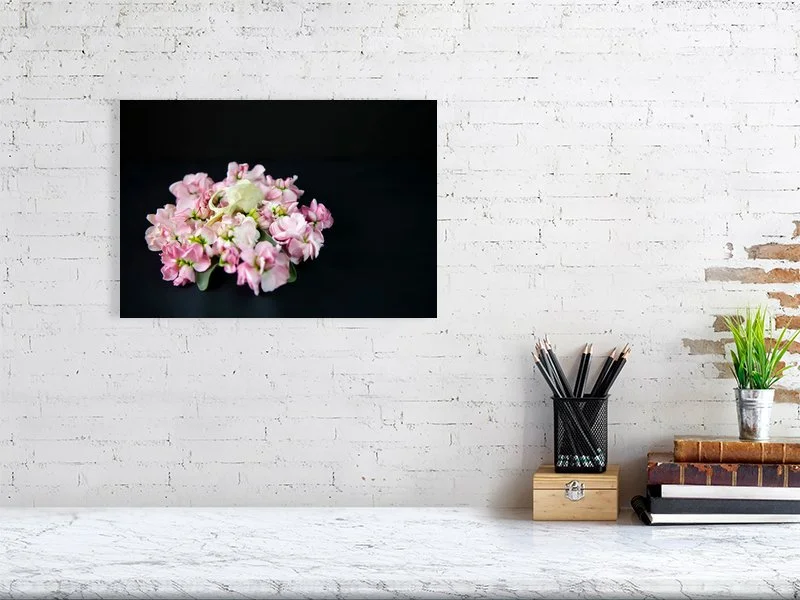 Fine art photo of a Muskrat Skull on a Bed of Pink Delphinium Flowers on black background for sale