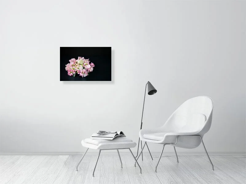 Fine art photo of a Muskrat Skull on a Bed of Pink Delphinium Flowers on black background for sale