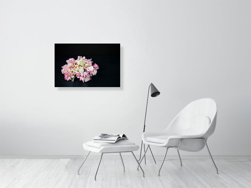 Fine art photo of a Muskrat Skull on a Bed of Pink Delphinium Flowers on black background for sale