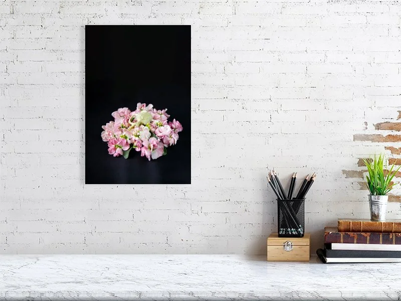 Art prints for sale of a fine art photo of a Muskrat Skull on a Bed of Pink Delphinium Flowers on black background.