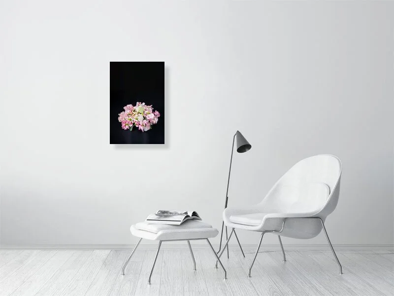 Art prints for sale of a fine art photo of a Muskrat Skull on a Bed of Pink Delphinium Flowers on black background.