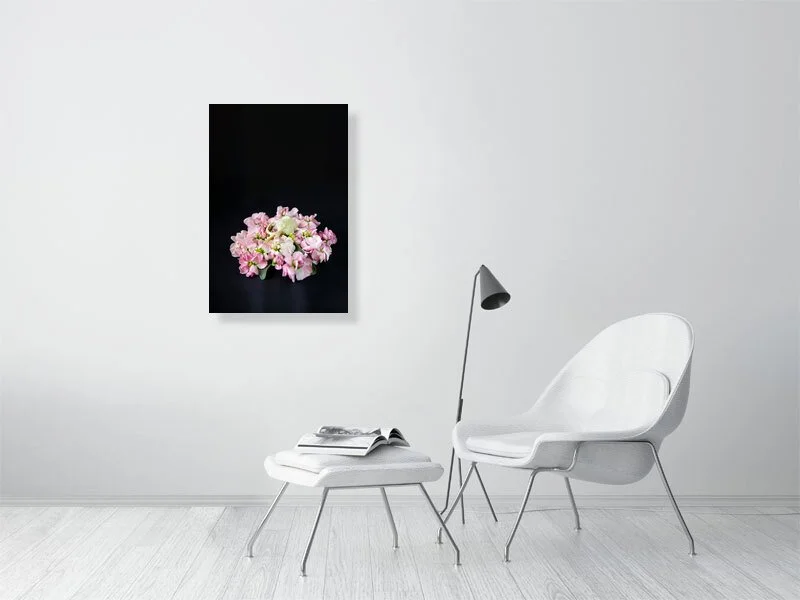 Art prints for sale of a fine art photo of a Muskrat Skull on a Bed of Pink Delphinium Flowers on black background.