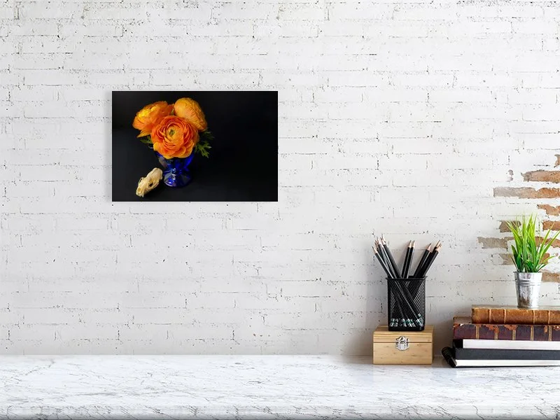 Prints for sale Fine art photo of Persian Buttercup Flowers in Blue Glass Vase with a raccoon skull.