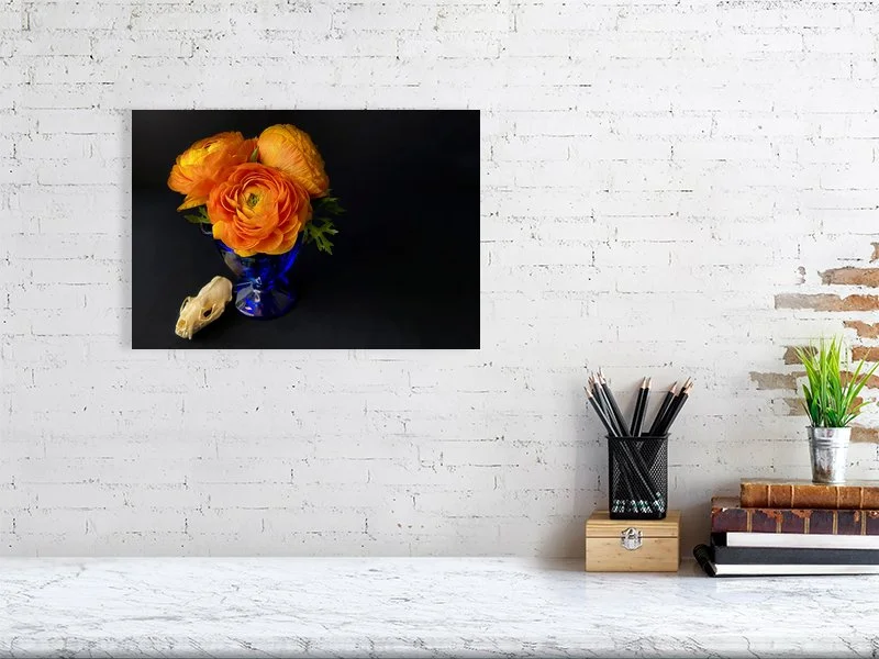 Prints for sale Fine art photo of Persian Buttercup Flowers in Blue Glass Vase with a raccoon skull.