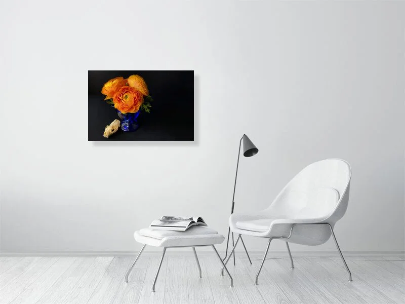 Prints for sale Fine art photo of Persian Buttercup Flowers in Blue Glass Vase with a raccoon skull.