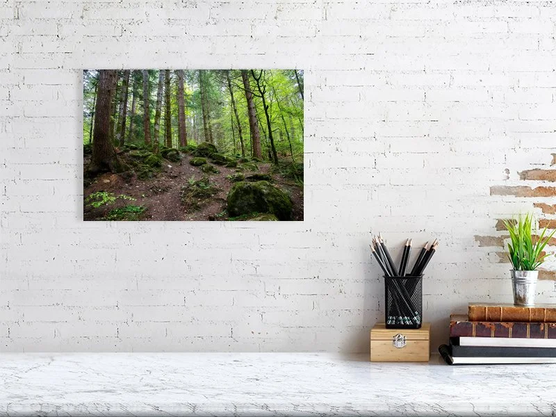 The Hermitage Nature Preserve and forest in Perthshire, Scotland.