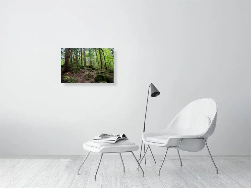The Hermitage Nature Preserve and forest in Perthshire, Scotland.