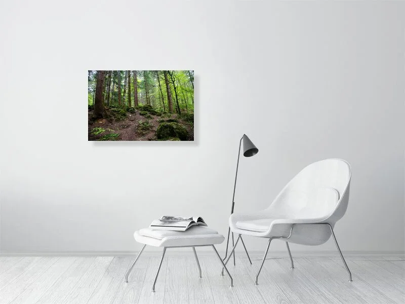 The Hermitage Nature Preserve and forest in Perthshire, Scotland.