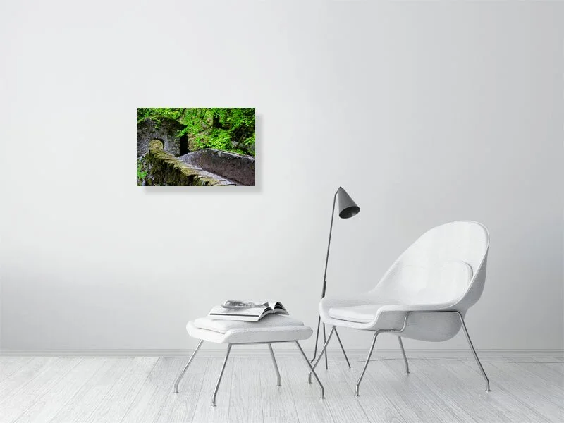 Sample image of Photograph of a stone bridge covered in ivy in a forest in the Scottish highlands.