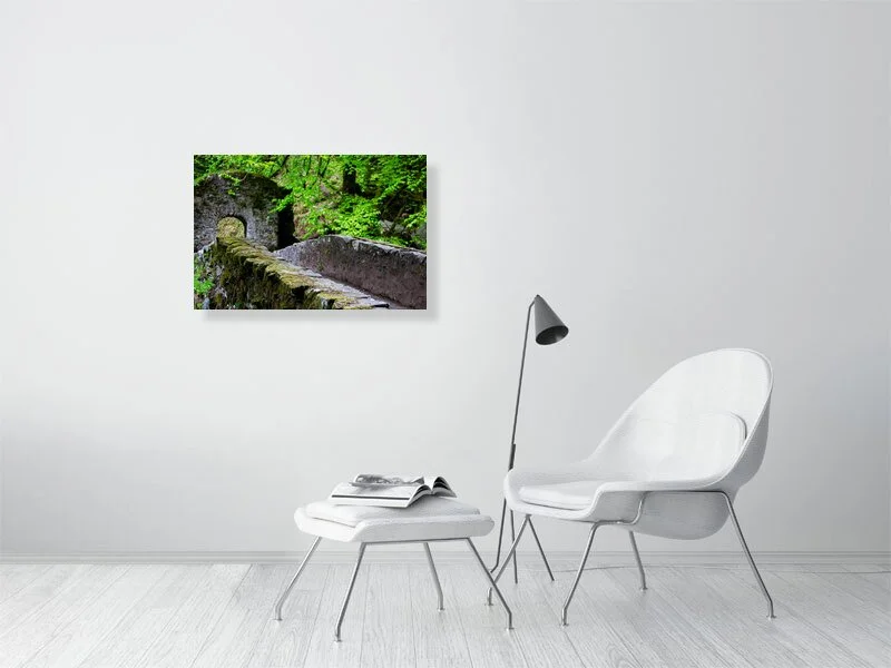 Sample image of Photograph of a stone bridge covered in ivy in a forest in the Scottish highlands.