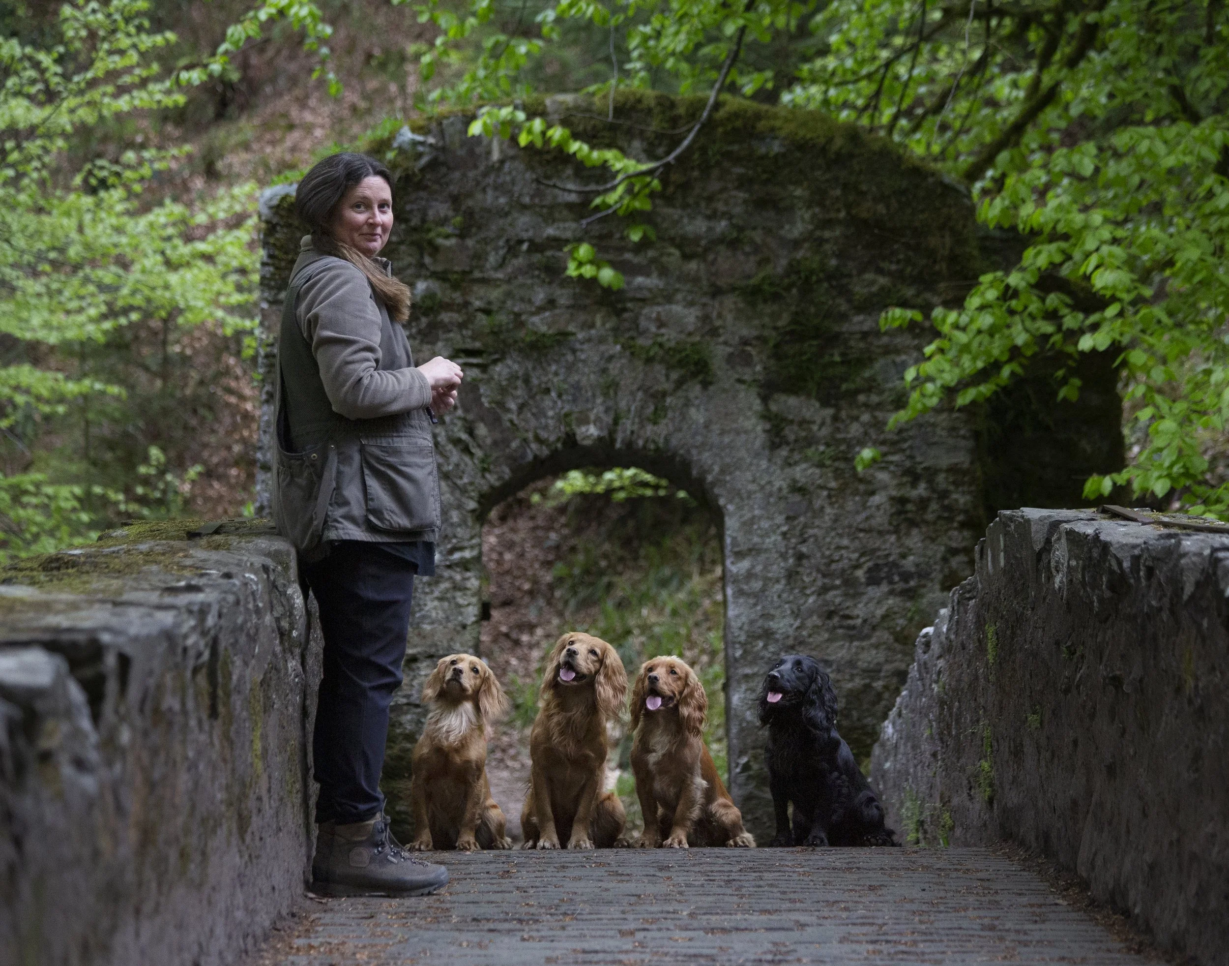 A woman stands over a quartet of cocker spaniels, one black and three goldens, looking back at the camera smiling. They are on an old stone bridge covered with moss in the middle of a forest. 