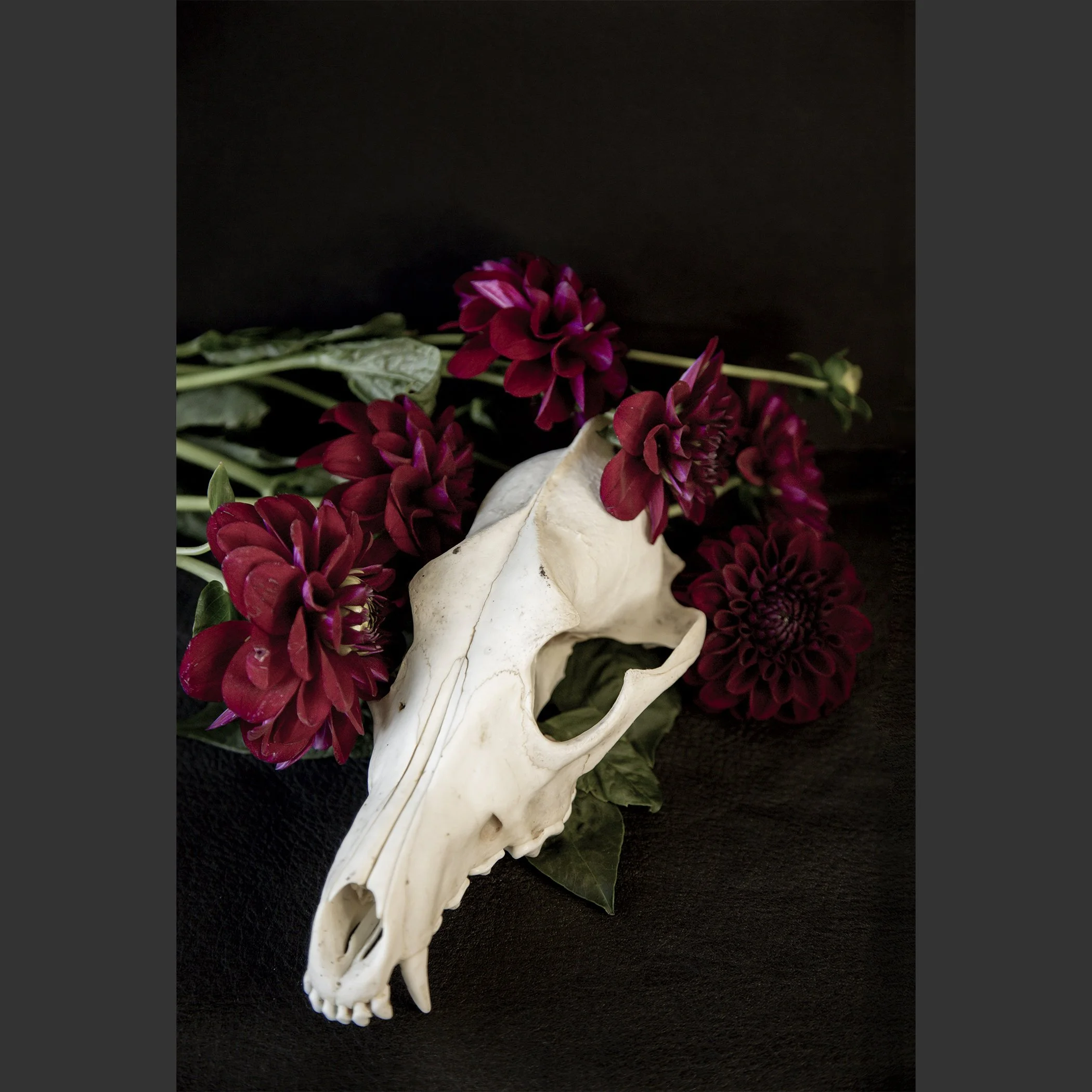 SkullsAndFlowers5-0480.jpg