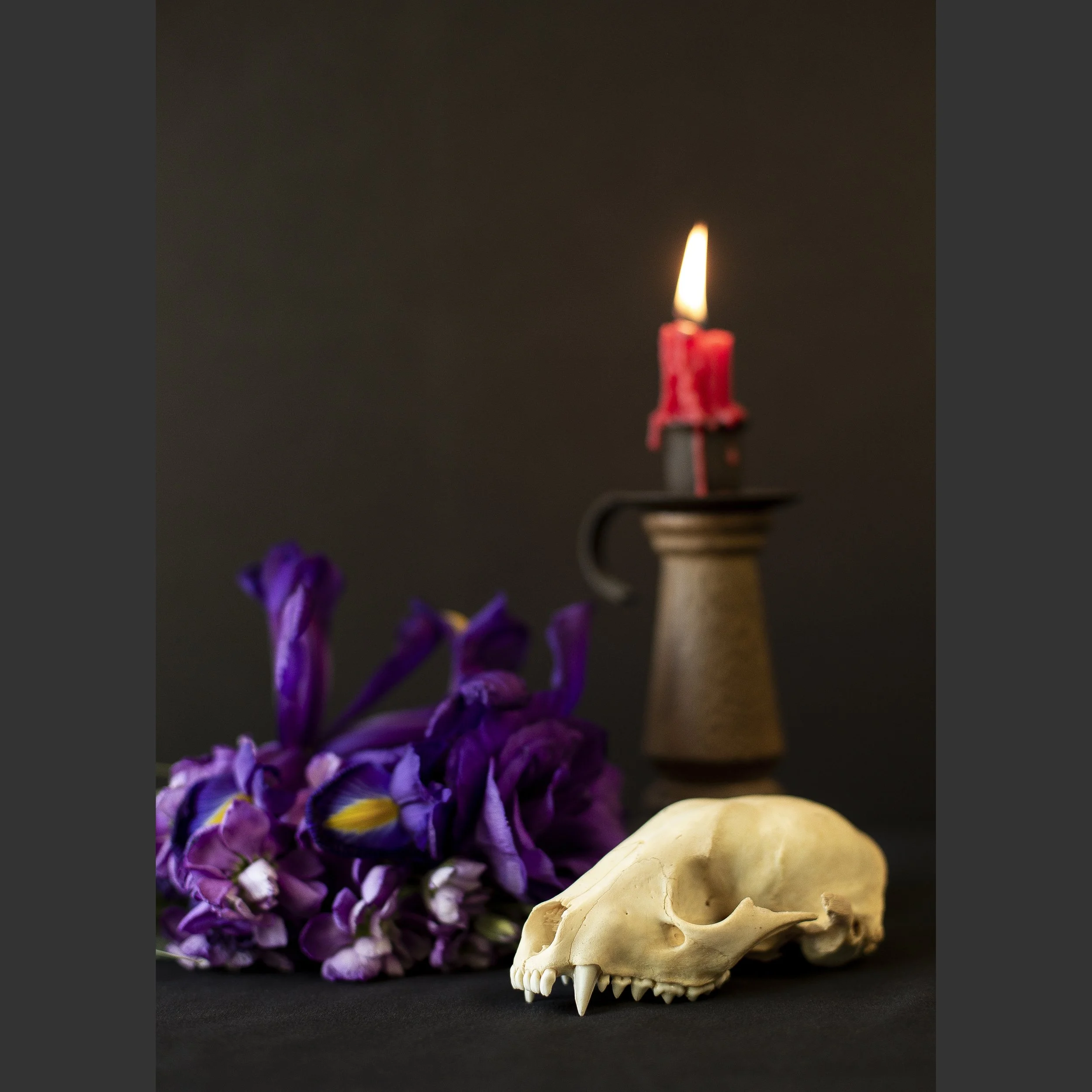 SkullsAndFlowers2-8672.jpg