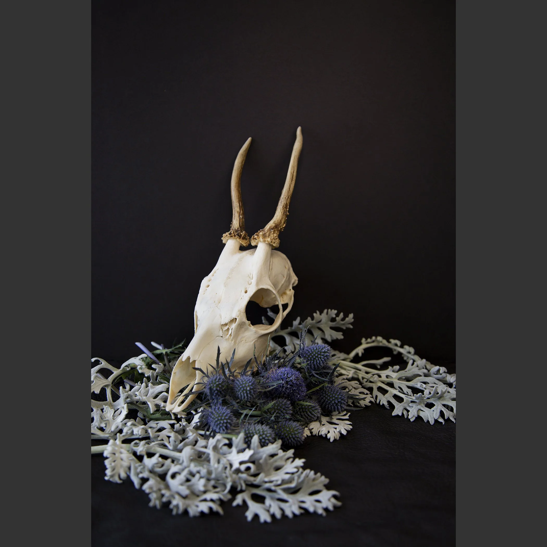 SkullsAndFlowers6-0729.jpg