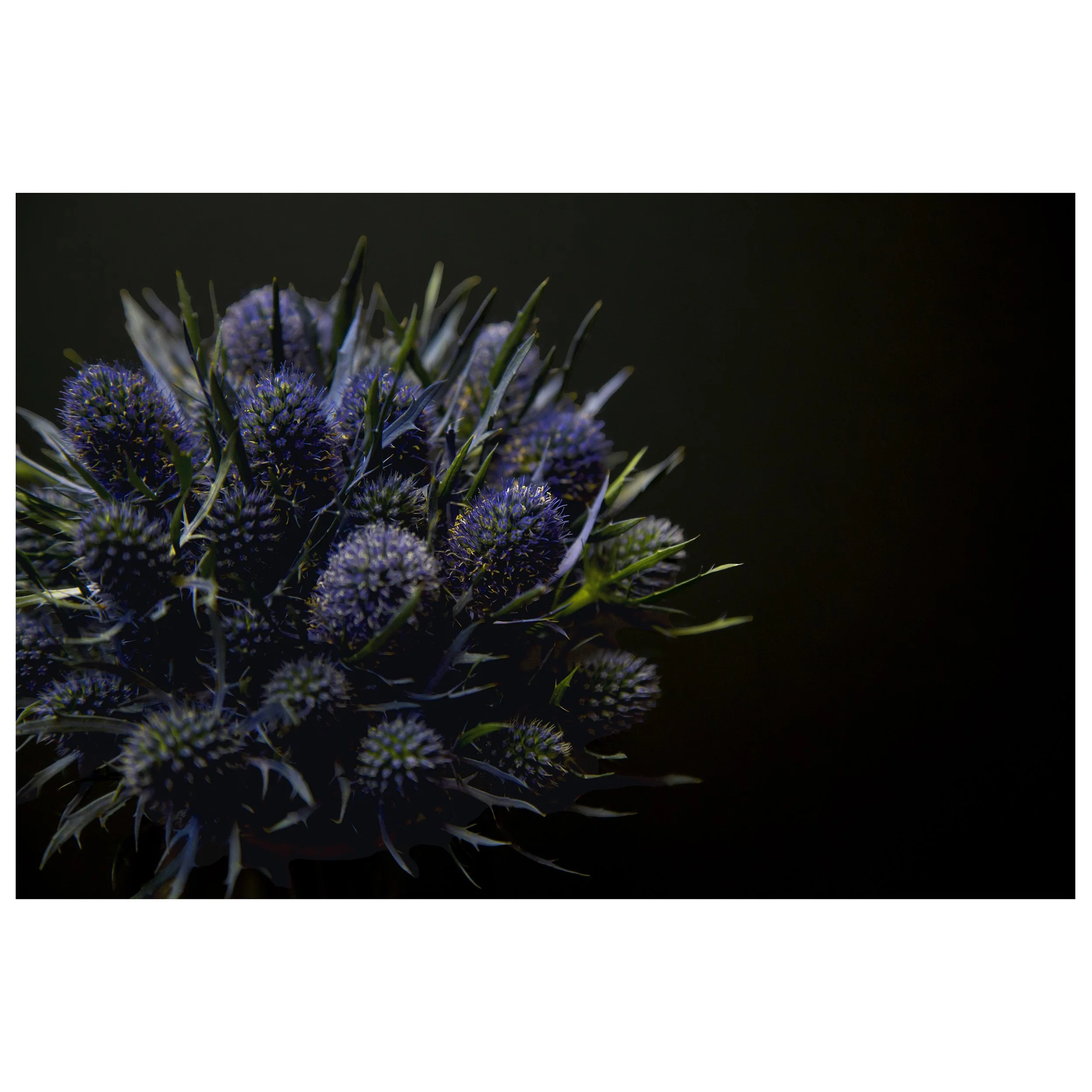 Amethyst Sea Holly Bouquet