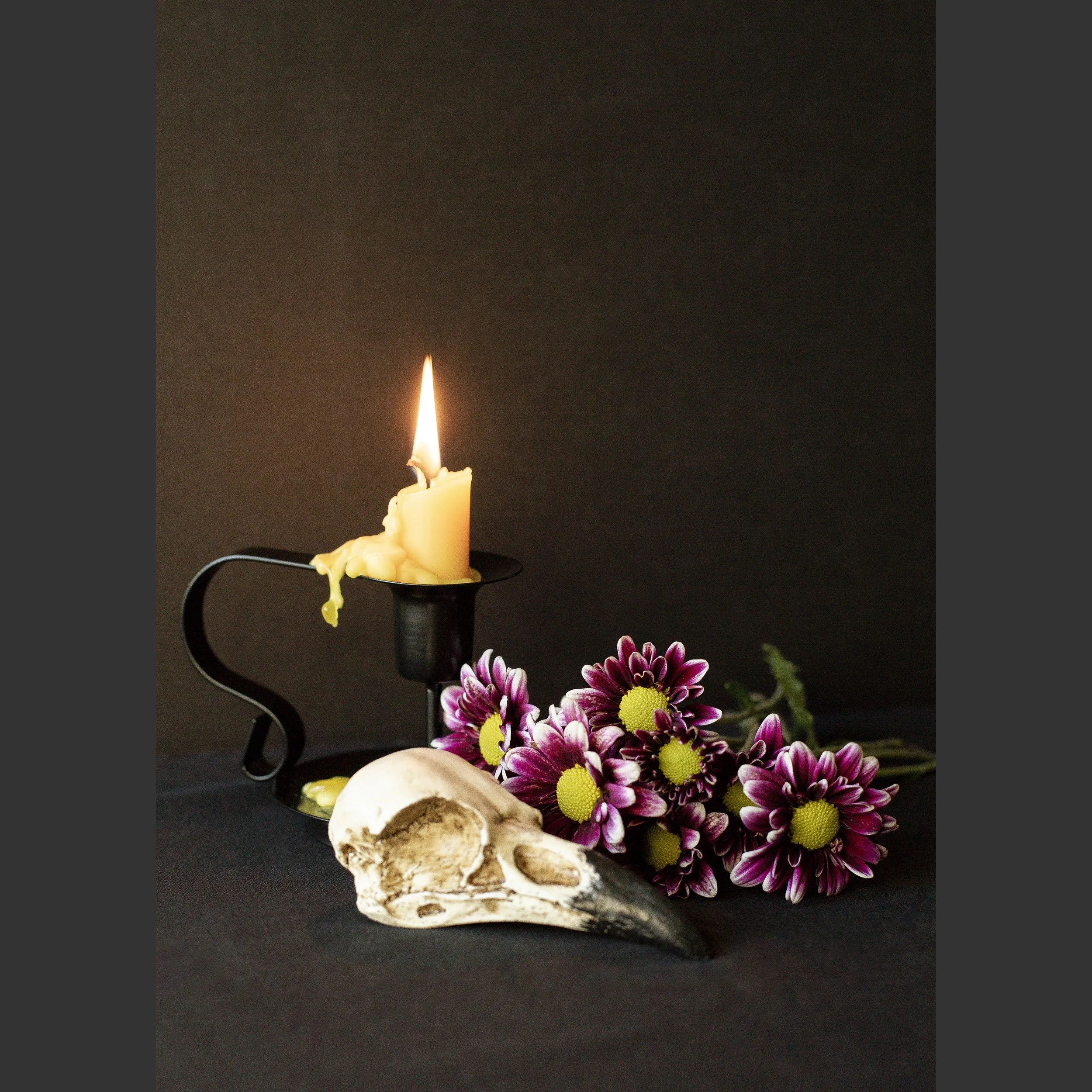 SkullsAndFlowers1-8536.jpg