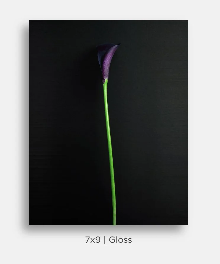 Metallic prints for sale. Image of a bouquet of deep purple calla lilies on black. Great gifts, home decor.