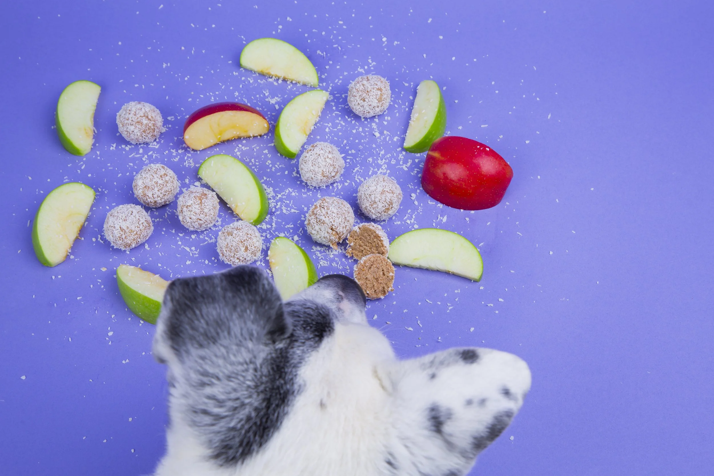 Overhead view of a dog looking at a table of food. The food includes apple slices and what looks to be donut holes, but are actually dog safe treats called Good Boy Bites. The image is on a purple background.