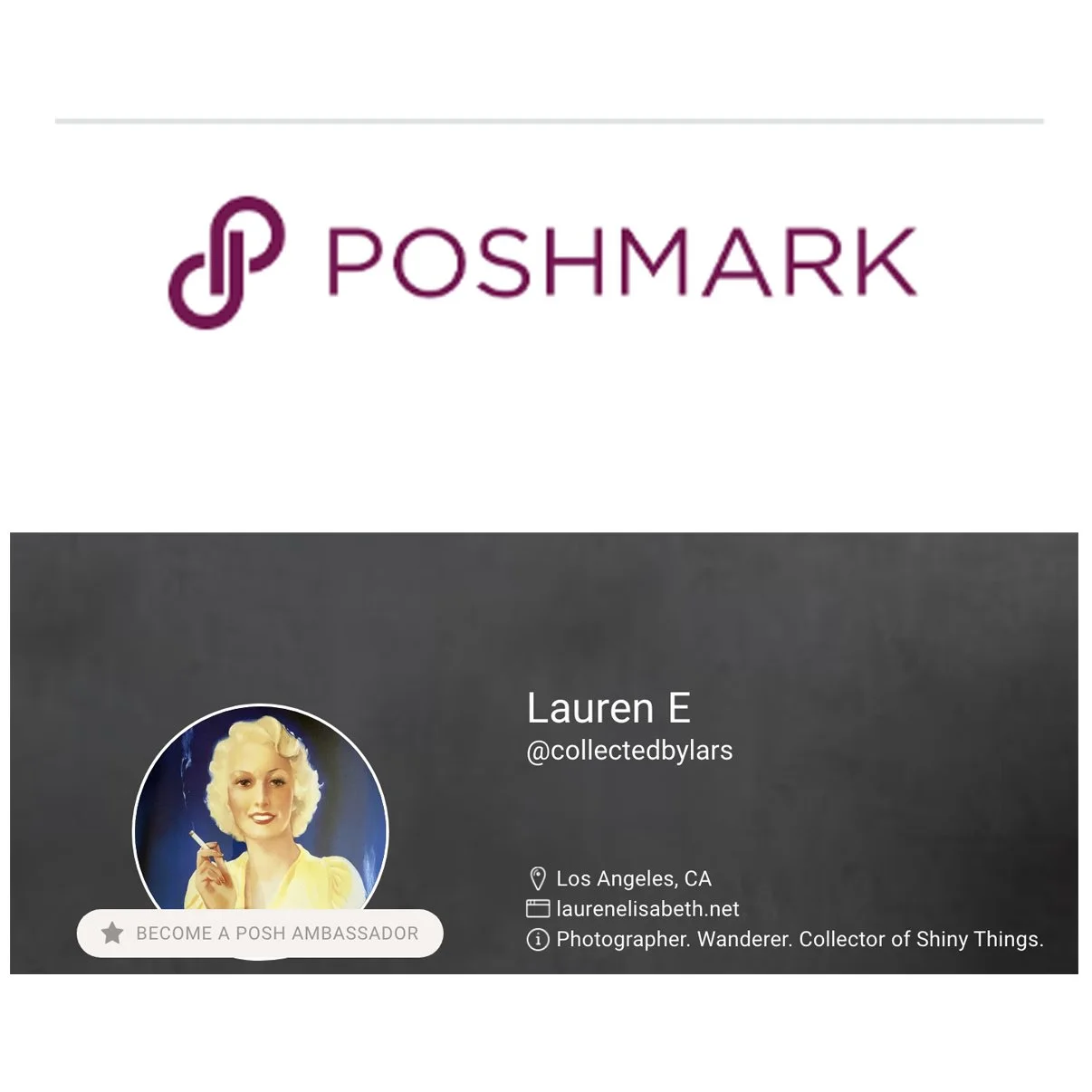 Poshmark Graphic and Link to Posh Store.