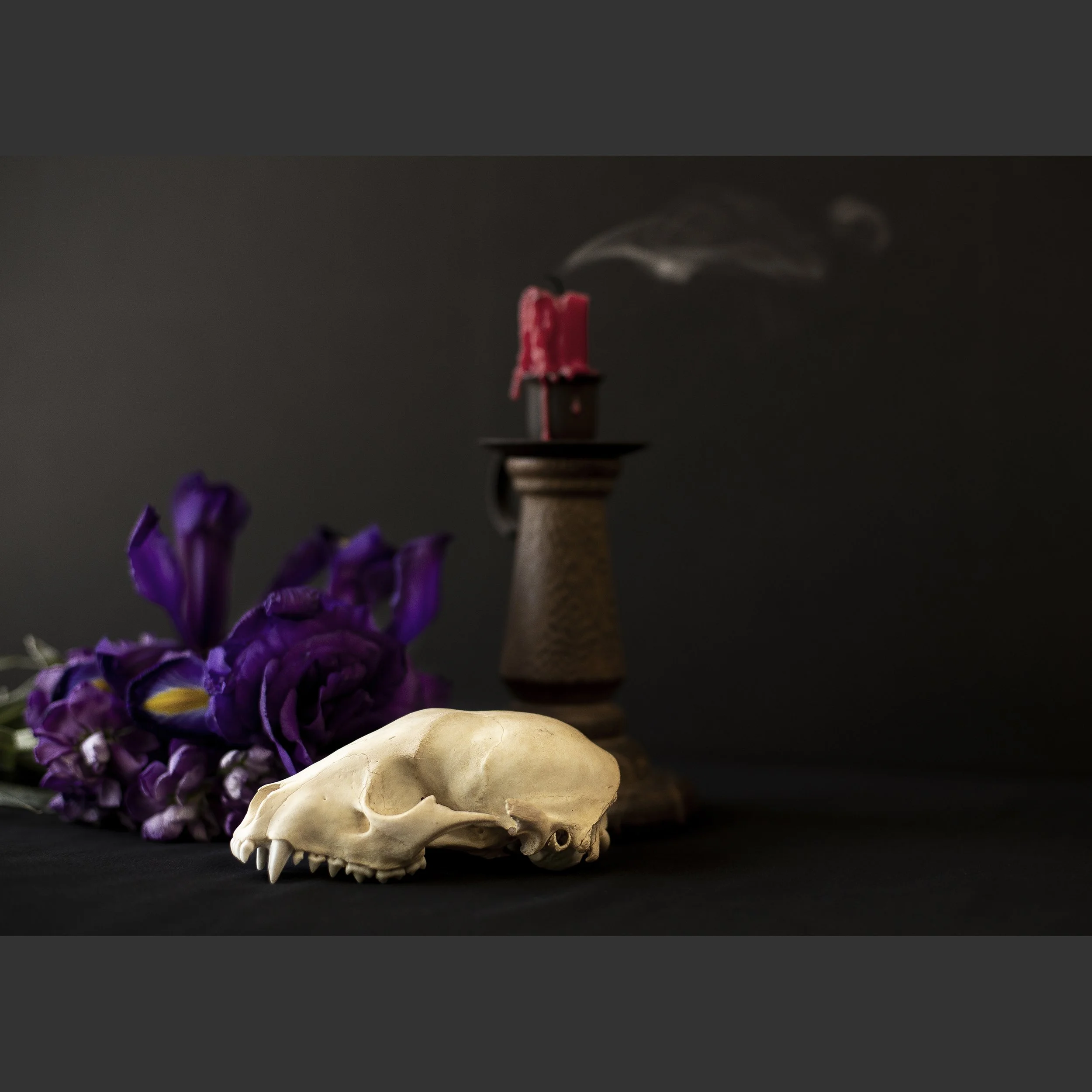 SkullsAndFlowers2-8663.jpg