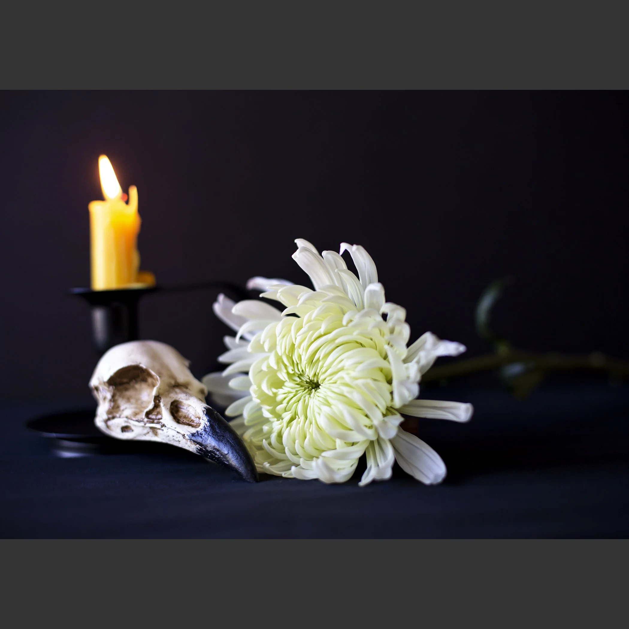 SkullsAndFlowers1-8521.jpg